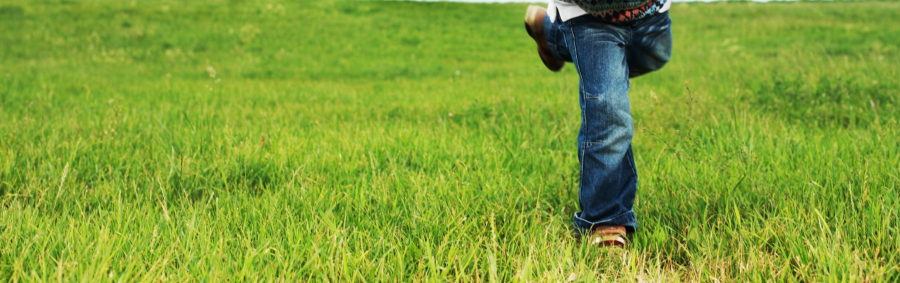 Roçadas serão realizadas em Escolas Municipais e CMEI’s